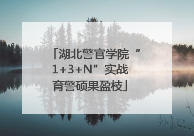 湖北警官学院“1+3+N”实战育警硕果盈枝