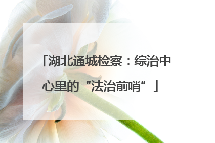 湖北通城检察：综治中心里的“法治前哨”