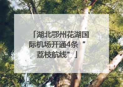湖北鄂州花湖国际机场开通4条“荔枝航线”