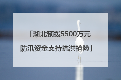 湖北预拨5500万元防汛资金支持抗洪抢险
