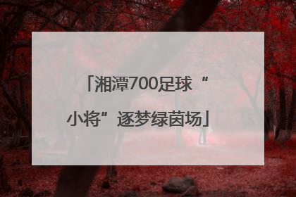 湘潭700足球“小将”逐梦绿茵场