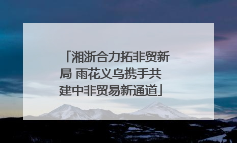 湘浙合力拓非贸新局 雨花义乌携手共建中非贸易新通道