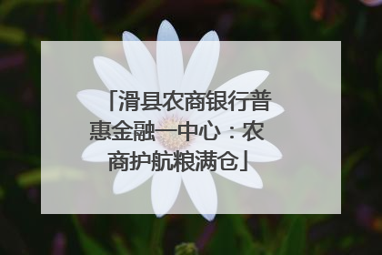 滑县农商银行普惠金融一中心：农商护航粮满仓
