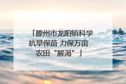 滕州市龙阳镇科学抗旱保苗 力保万亩农田“解渴”