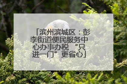 滨州滨城区：彭李街道便民服务中心办事办税 “只进一门”更省心