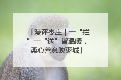 漫评枣庄｜一“拦”一“送”皆温暖，柔心善意映枣城