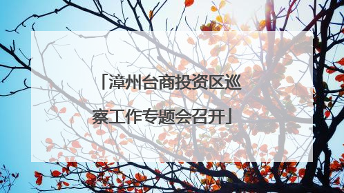 漳州台商投资区巡察工作专题会召开