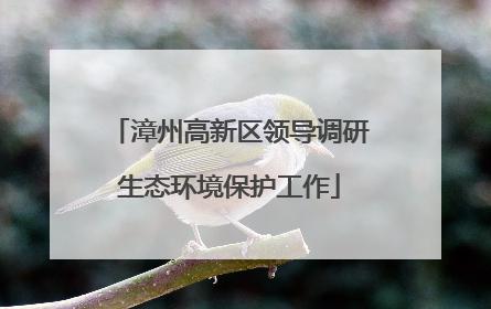 漳州高新区领导调研生态环境保护工作