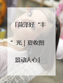 菏泽好“丰”光｜夏收图景动人心