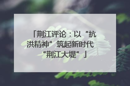 荆江评论：以“抗洪精神”筑起新时代“荆江大堤”