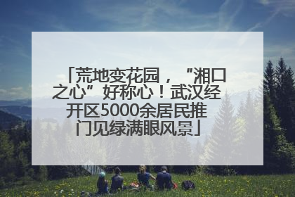 荒地变花园，“湘口之心”好称心！武汉经开区5000余居民推门见绿满眼风景