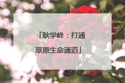 耿学峰：打通草原生命通道