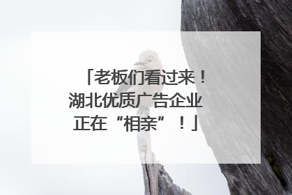 老板们看过来！湖北优质广告企业正在“相亲”！