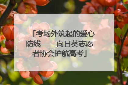 考场外筑起的爱心防线——向日葵志愿者协会护航高考