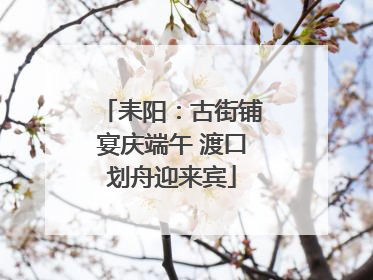 耒阳：古街铺宴庆端午 渡口划舟迎来宾