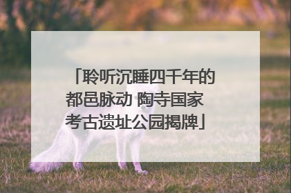 聆听沉睡四千年的都邑脉动 陶寺国家考古遗址公园揭牌
