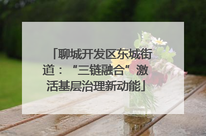聊城开发区东城街道：“三链融合”激活基层治理新动能