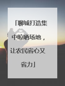 聊城打造集中晾晒场地，让农民省心又省力