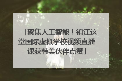 聚焦人工智能！镇江这堂国际虚拟学校视频直播课获韩美伙伴点赞