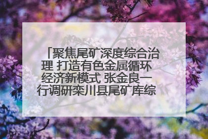 聚焦尾矿深度综合治理 打造有色金属循环经济新模式 张金良一行调研栾川县尾矿库综合治理工作