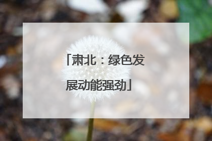 肃北：绿色发展动能强劲