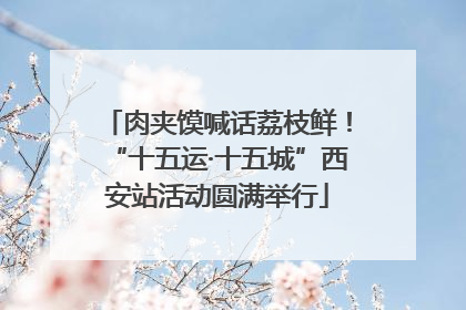 肉夹馍喊话荔枝鲜！“十五运·十五城”西安站活动圆满举行