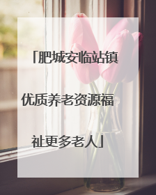肥城安临站镇优质养老资源福祉更多老人