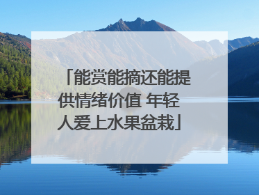 能赏能摘还能提供情绪价值 年轻人爱上水果盆栽
