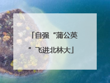 自强“蒲公英”飞进北林大
