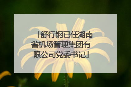 舒行钢已任湖南省机场管理集团有限公司党委书记