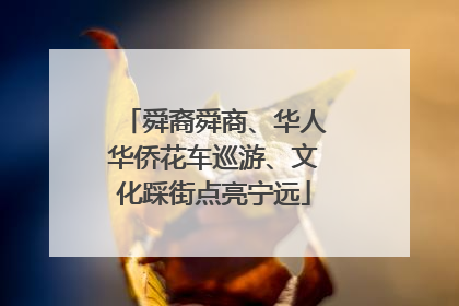 舜裔舜商、华人华侨花车巡游、文化踩街点亮宁远