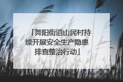 舞阳街道山民村持续开展安全生产隐患排查整治行动