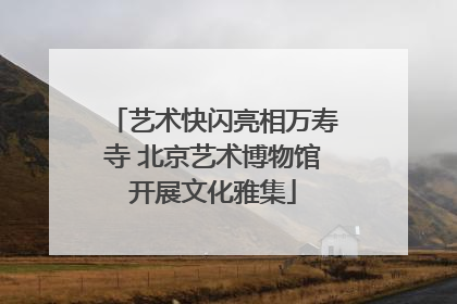 艺术快闪亮相万寿寺 北京艺术博物馆开展文化雅集