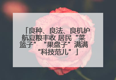 良种、良法、良机护航夏粮丰收 居民“菜篮子”“果盘子”满满“科技范儿”