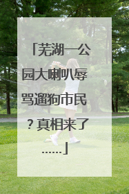 芜湖一公园大喇叭辱骂遛狗市民？真相来了……