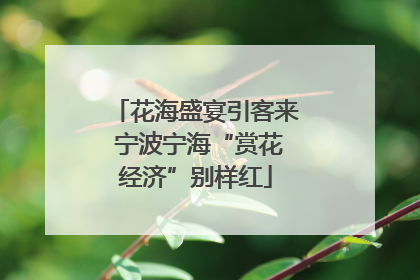 花海盛宴引客来 宁波宁海“赏花经济”别样红