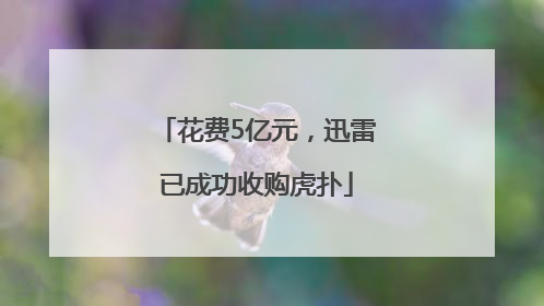 花费5亿元，迅雷已成功收购虎扑
