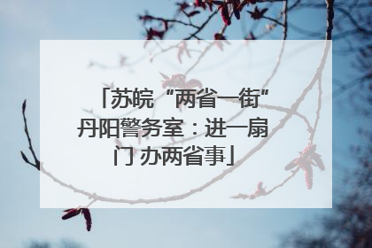 苏皖“两省一街”丹阳警务室：进一扇门 办两省事