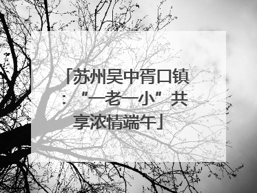 苏州吴中胥口镇：“一老一小”共享浓情端午
