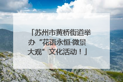苏州市黄桥街道举办“花语永恒·微景大观”文化活动！