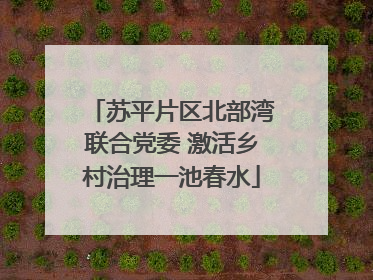 苏平片区北部湾联合党委 激活乡村治理一池春水