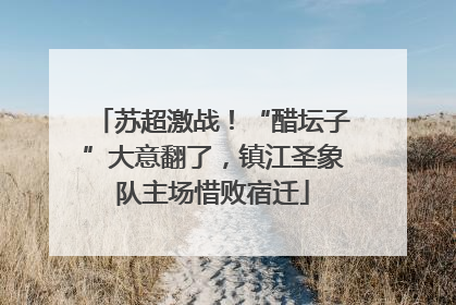苏超激战！“醋坛子”大意翻了，镇江圣象队主场惜败宿迁