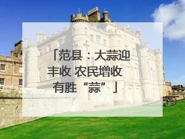 范县：大蒜迎丰收 农民增收有胜“蒜”