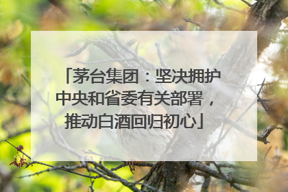 茅台集团：坚决拥护中央和省委有关部署，推动白酒回归初心