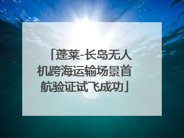 蓬莱-长岛无人机跨海运输场景首航验证试飞成功