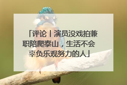 评论丨演员没戏拍兼职陪爬泰山，生活不会辜负乐观努力的人