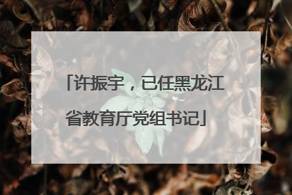 许振宇，已任黑龙江省教育厅党组书记