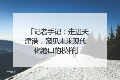 记者手记：走进天津港，窥见未来现代化港口的模样