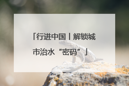 行进中国丨解锁城市治水“密码”