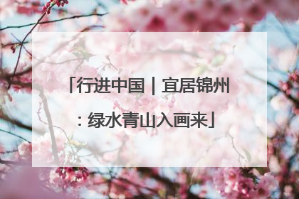 行进中国｜宜居锦州：绿水青山入画来